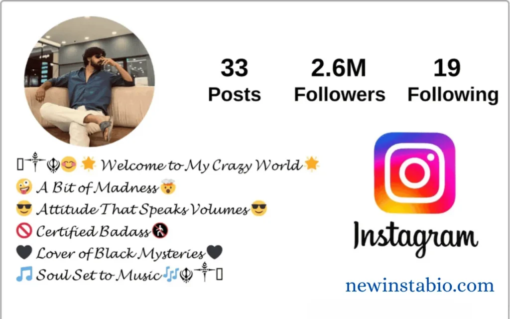 Attitude Bio For Instagram