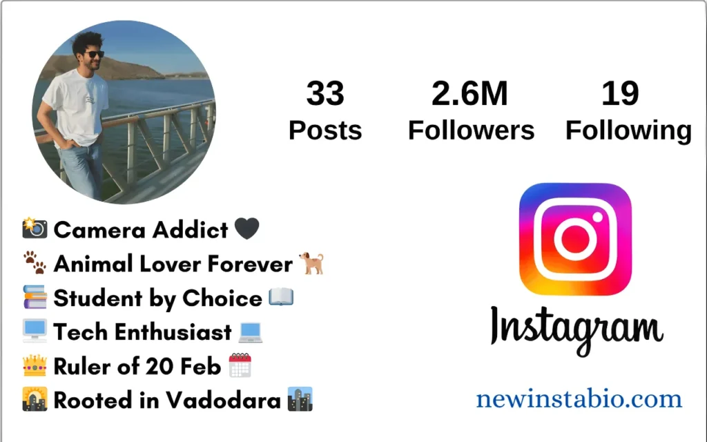 Attitude Bio For Instagram