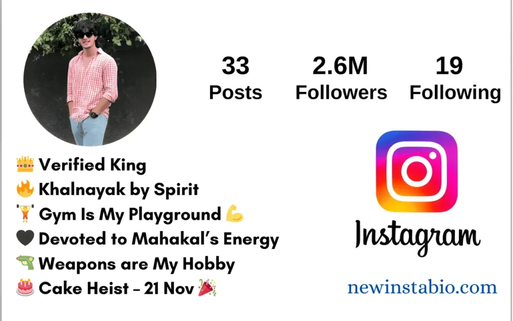 Attitude Bio For Instagram