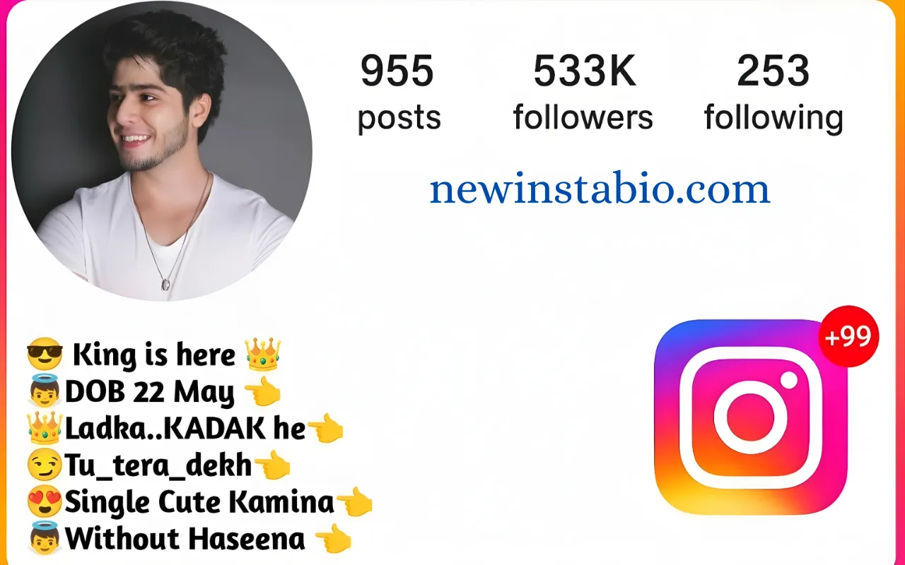 Instagram Bio for Boys Stylish