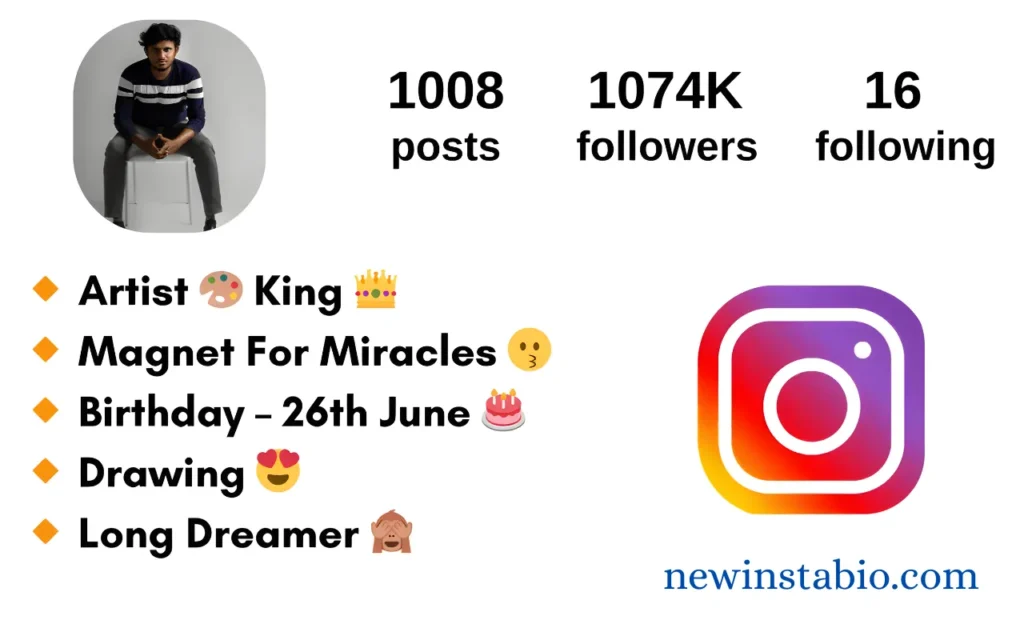 instagram bio for boys stylish font