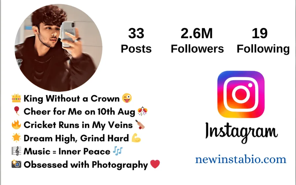 instagram bio for boys stylish font