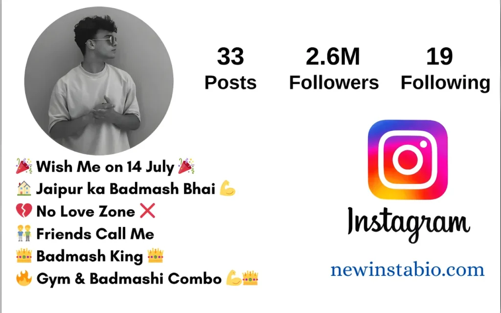 instagram bio for boys stylish font