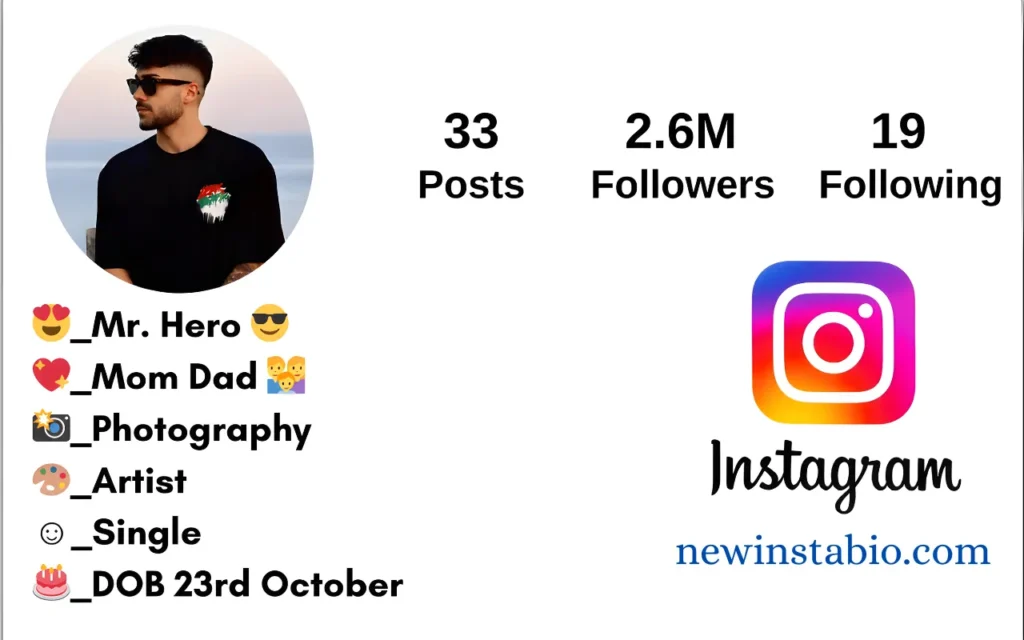 instagram bio for boys stylish font