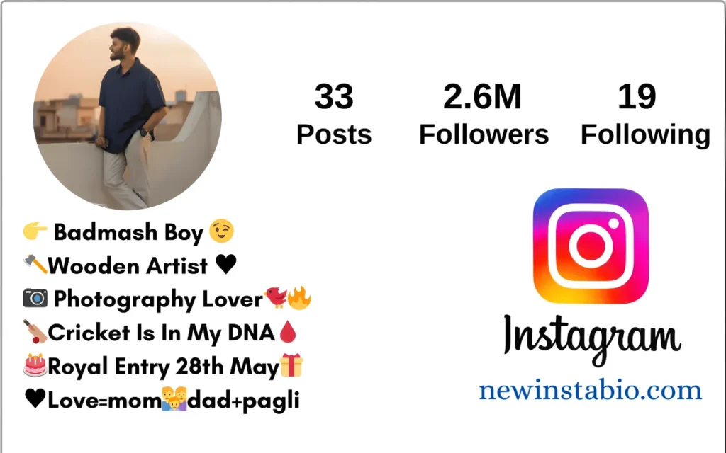 instagram bio for boys stylish font