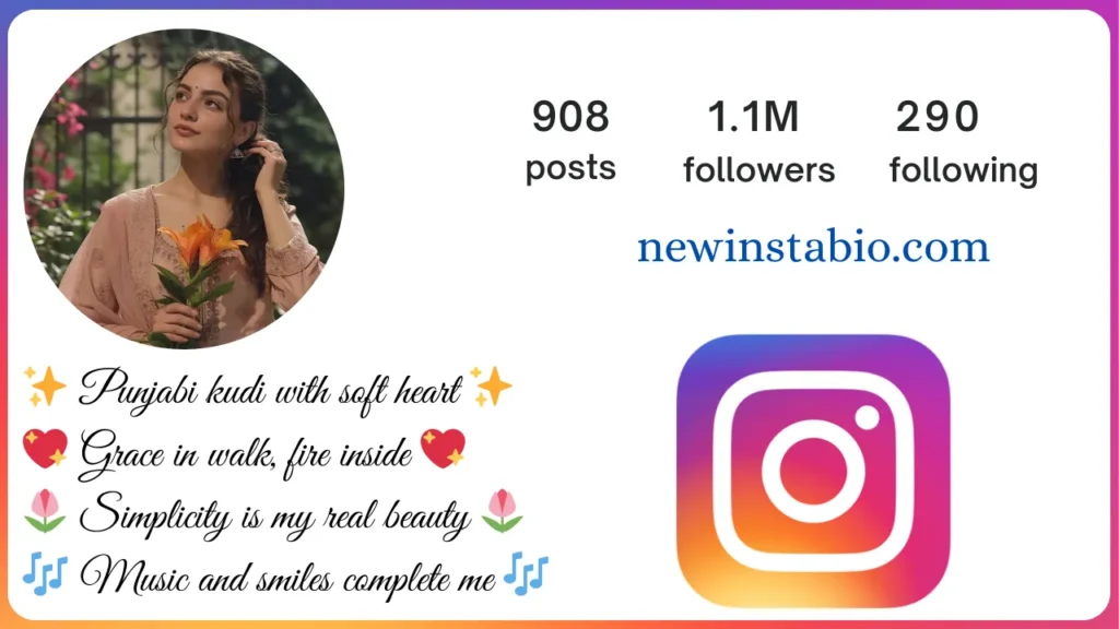 punjabi bio for instagram