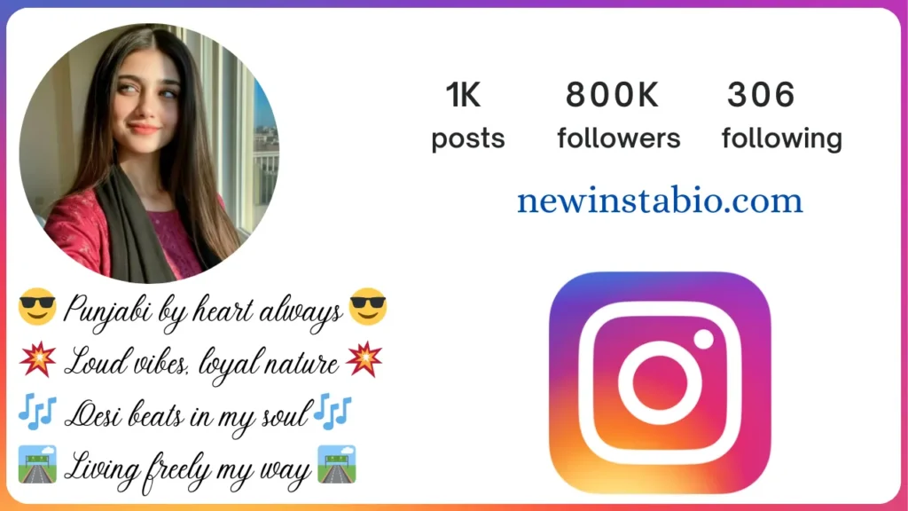 punjabi bio for instagram