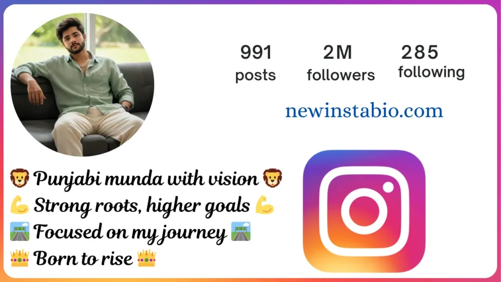 punjabi bio for instagram