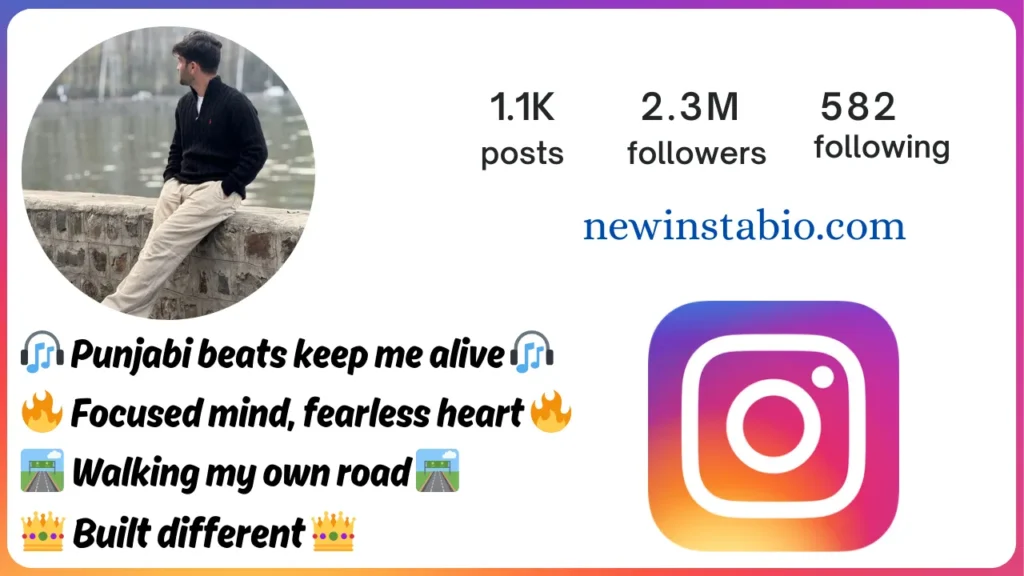 punjabi bio for instagram